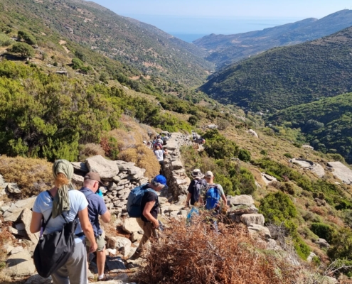 Απολογισμός 13ης πεζοπορίας φροντίδας στη διαδρομή Βουρκωτή Μονή Αγίου Νικολάου παραλία Άχλα