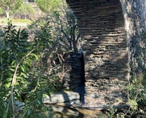 Απολογισμός 9ης πεζοπορίας φροντίδας στη διαδρομή Λειβάδια Βραχνού Προφήτης Δανιήλ Πετριάς Φάλικα Αλαδινού