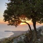 Ψήφισμα για το νέο Χωροταξικό ΑΠΕ & την εξαίρεση της Άνδρου από την προστασία των Κυκλάδων